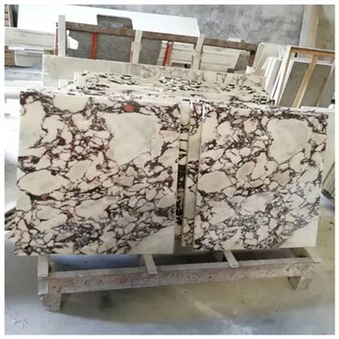 Calacatta Viola Marble Carreaux